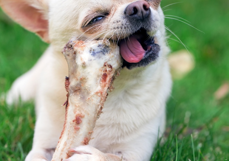 Depositphotos_30193331_m-2015.jpg#asset:402:blogMain