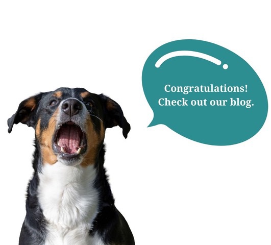 popup_blog-congratulations.jpeg#asset:19529