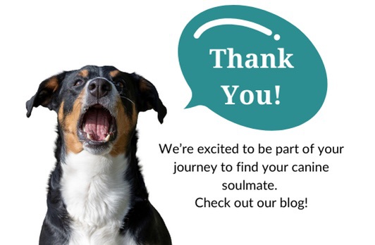 popup_blog-thank-you.jpeg#asset:19527