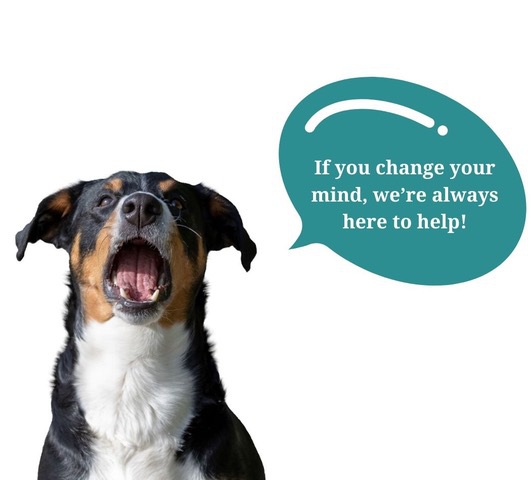 popup_success-stories-help.jpeg#asset:19528