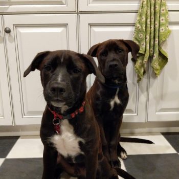 Oakley and Wilson